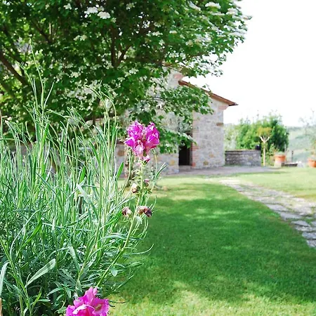 Apartment Castagnoli 1 *